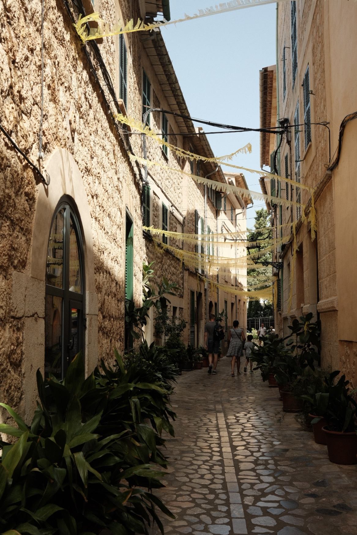 Street