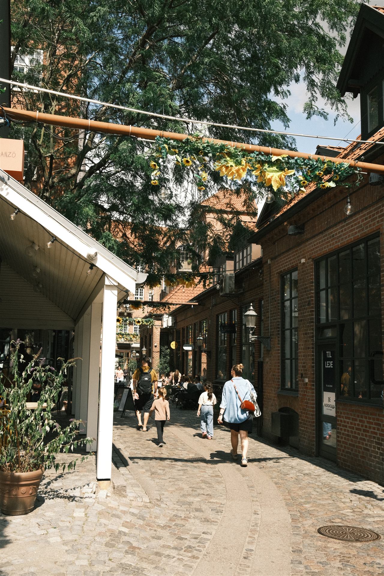 Street